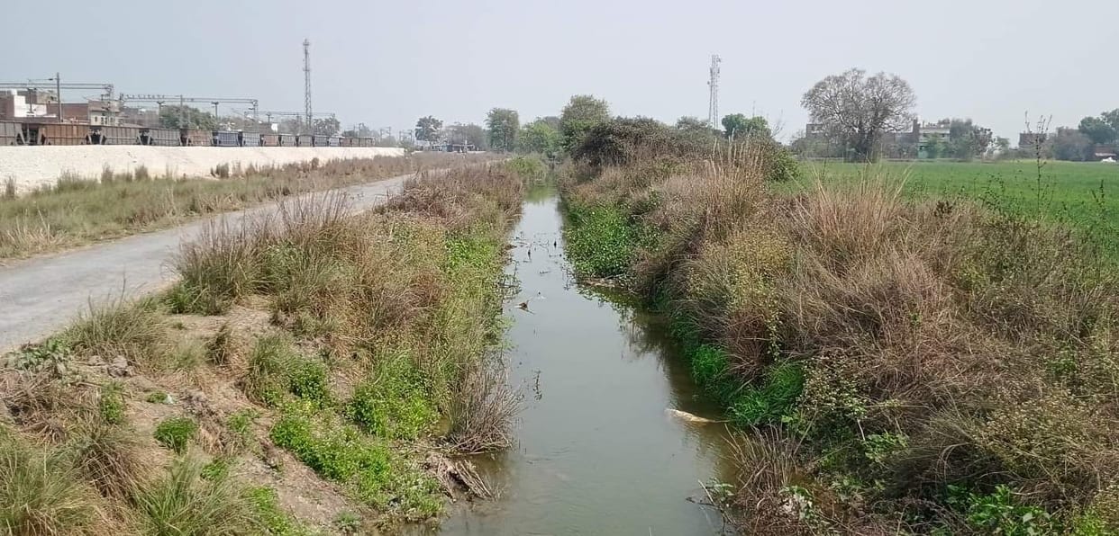 Lack of drain cleaning has affected water drainage in 50 villages.