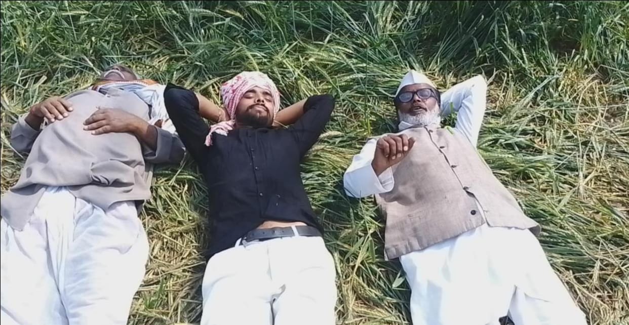 Crops trampled for high-tension wire, helpless farmers lie down in protest