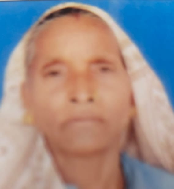 Elderly woman dies in high-speed bike collision