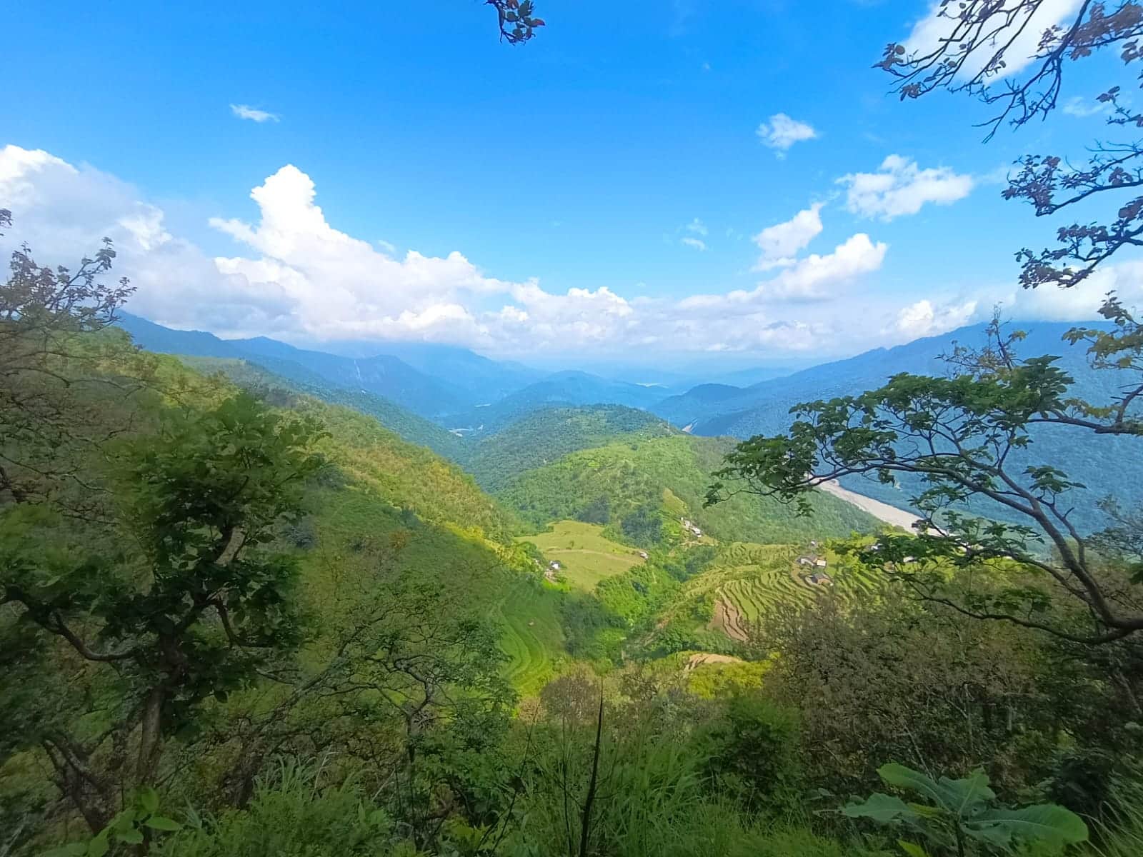 दूरस्थ बकोड़ा क्षेत्र