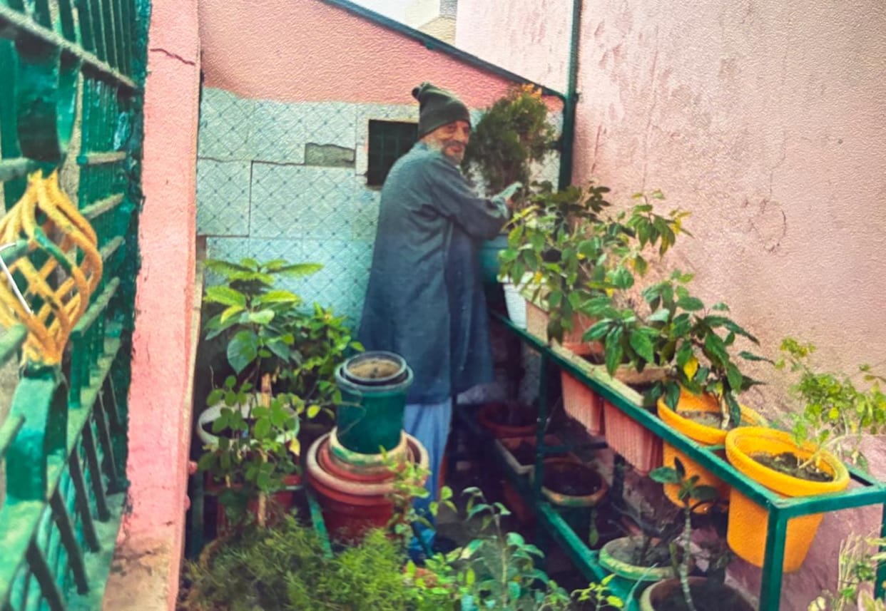 The plants in Bhimsen's garden are not only providing beauty but also medicinal benefits.