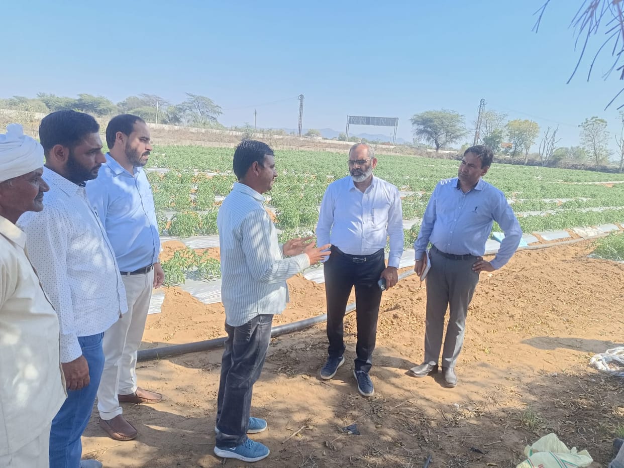 Demonstration of improved potato variety and Kufri Uday