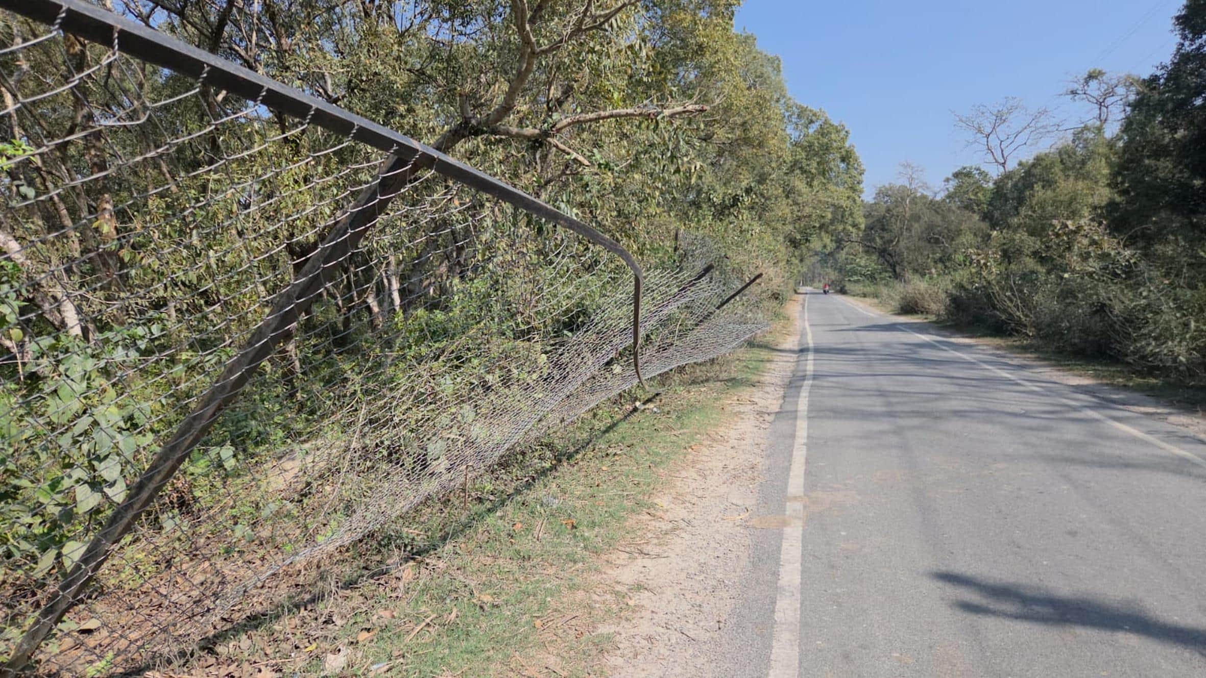 कतर्नियाघाट में टूटी तार फेंसिंग।