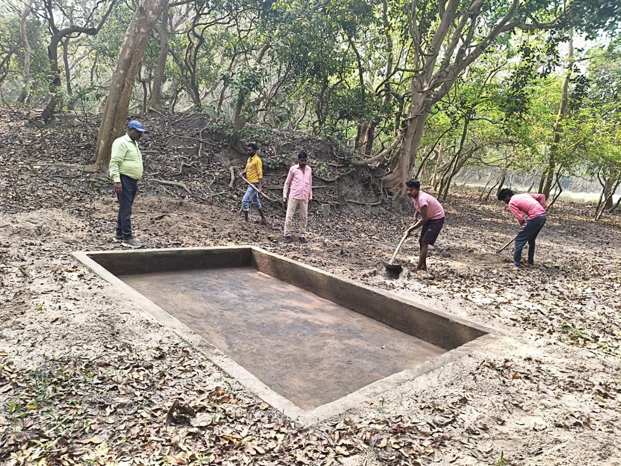 Clean the water holes in the forest