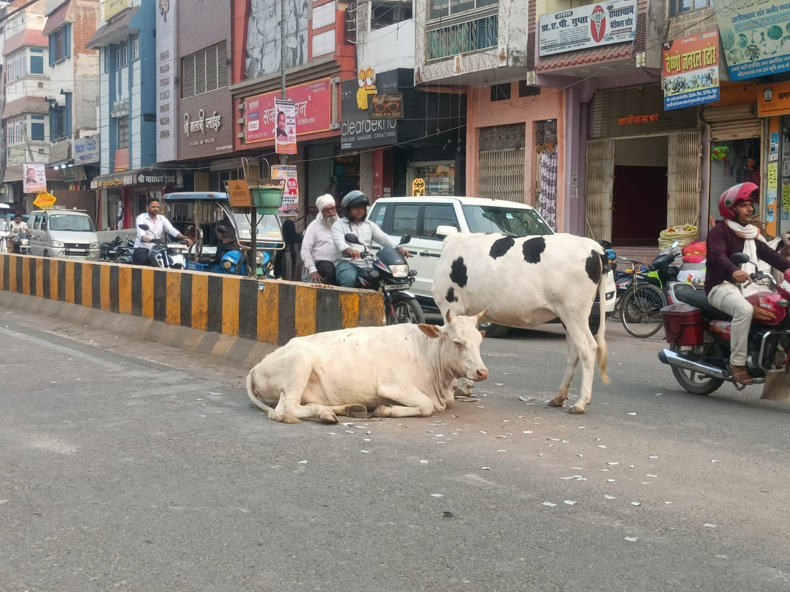 मुखलिसपुर रोड पर खड़ा छुट्टा पशु। संवाद