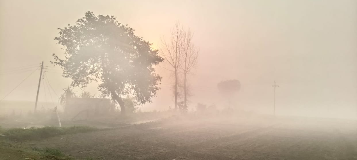 Traffic affected due to fog in the morning