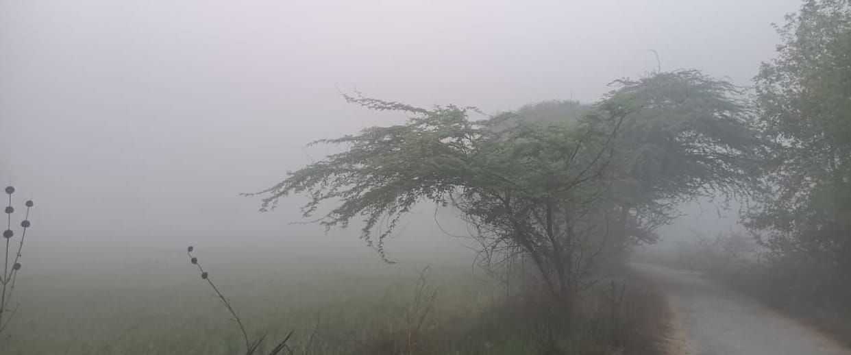 East winds blew at a speed of ten kilometers, fog prevailed in the morning.
