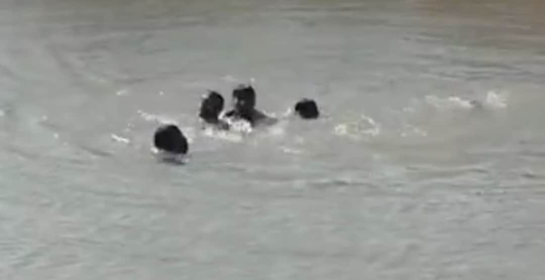 दौसा में नदी में डूबे बच्चों के मामले में कार्रवाई