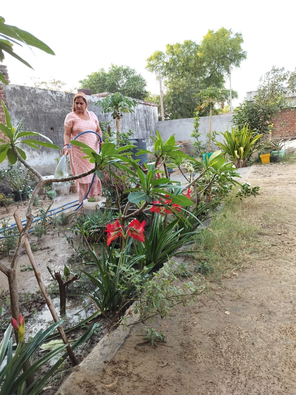 First she decorated her own house and courtyard, now Beena is inspiring people to plant a garden.