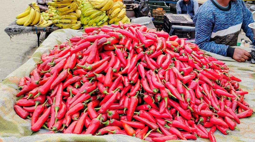 Pickle chillies coming from Varanasi, price is at a hundred