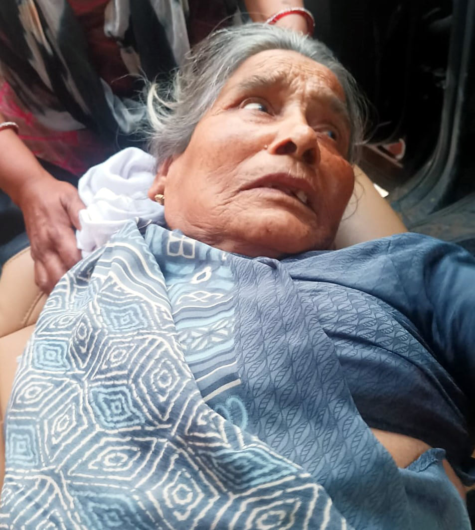 Stray cattle attack elderly woman standing at door of house, critical