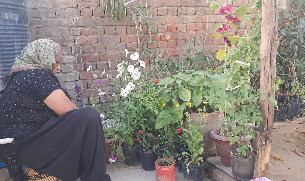 The garden is filled with memories of her daughter, she finds her love in the plants.