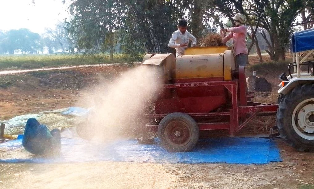 Threshing dust poses a threat to lungs, increasing the risk of ILD.