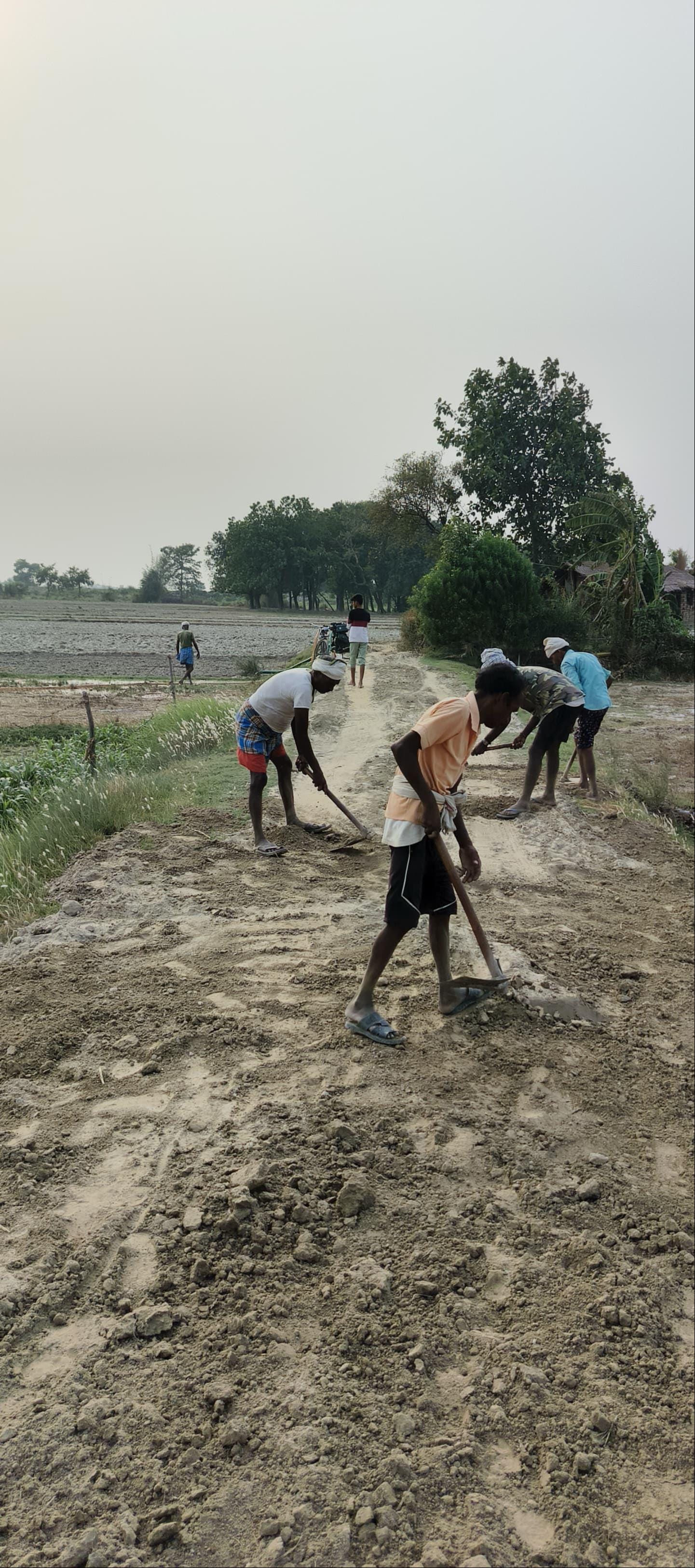 काम करते मनरेगा मजदूर