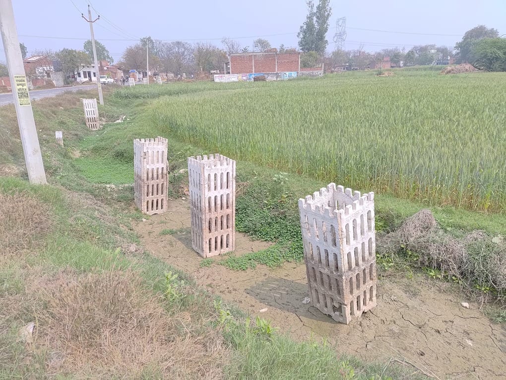 The trees planted by the forest department dried up