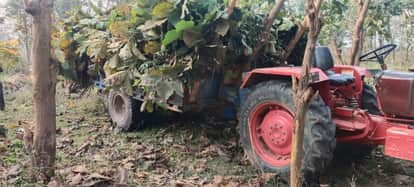 Mining Scope to Expand from New Iron Ore Blocks Up to MP Border Tenders Already Floated