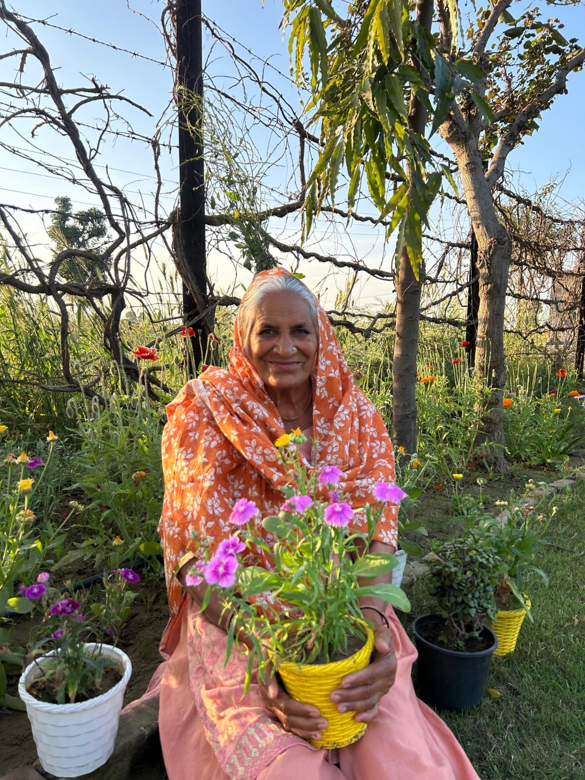In her final years, Sheela Yadav's garden has become a refuge; she urged her to plant trees and connect with nature.