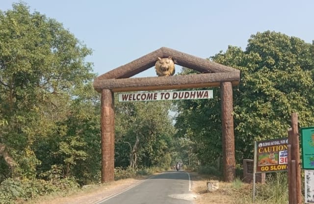 The roar of tigers and the presence of rhinos have drawn the world's attention to Dudhwa