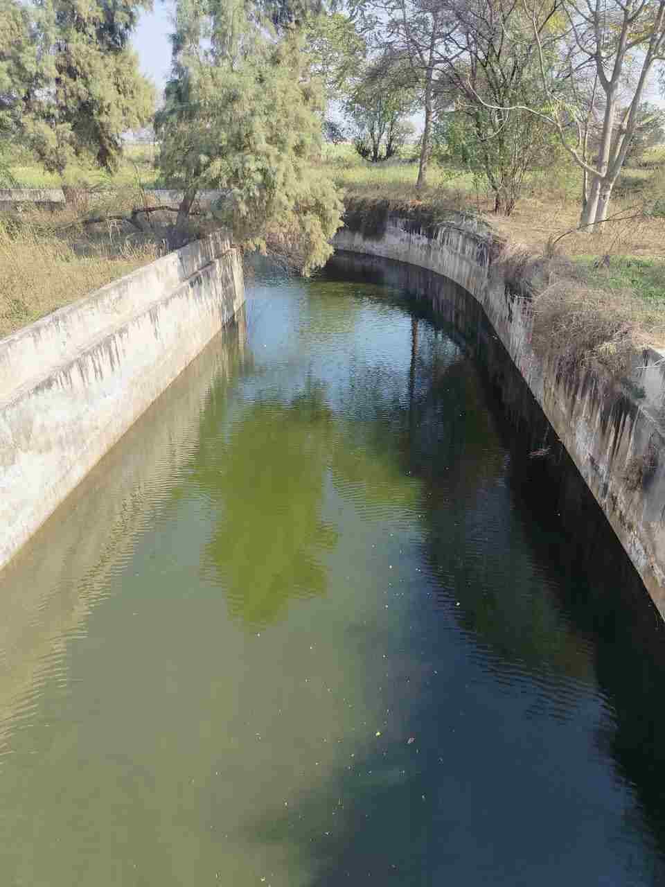 The railway underpass in Dhansu turned into a reservoir, farmers pleaded for a solution before the wheat harvest