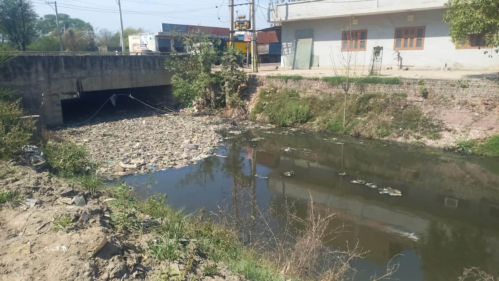 08jjrp16- रेवाड़ी रोड से गुजर रही ड्रेन नंबर-8 में फैली गंदगी। संवाद