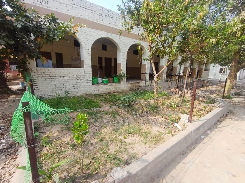 Spent Rs 25.35 lakh on kitchen garden in a year, no trace of vegetables