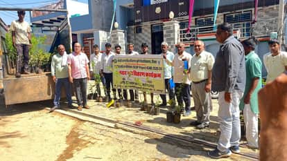 370 fruit trees were distributed to the villagers in village Uchhat.