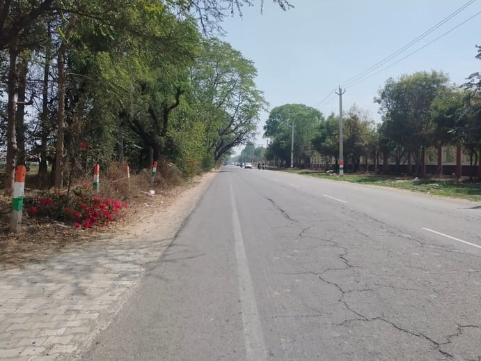 Changes in the sewerage line project will save 151 trees and 310 plants