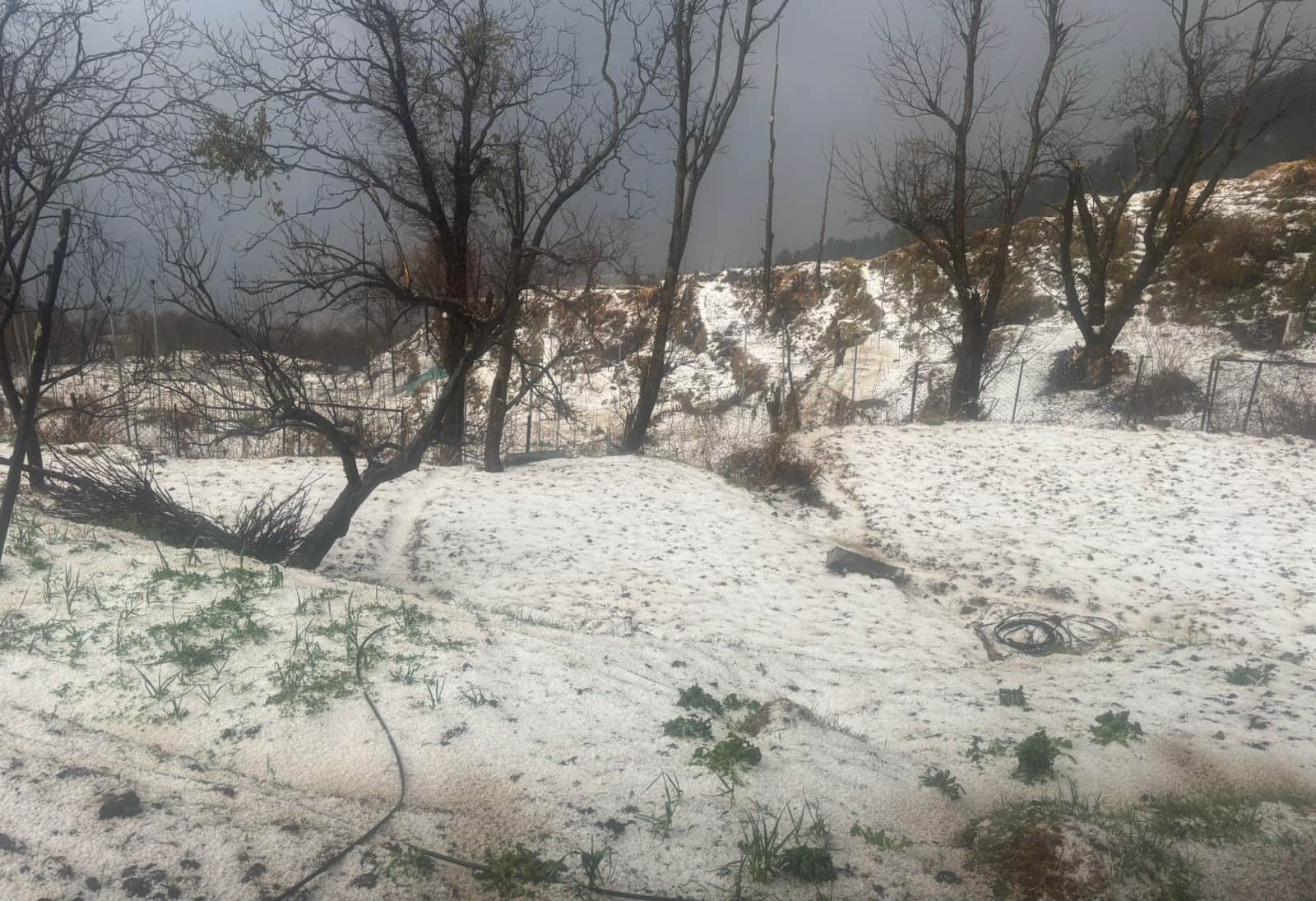 ज्योतिर्मठ के औली परसारी में हुई ओलावृष्टि। स्रोत जागरूक पाठक