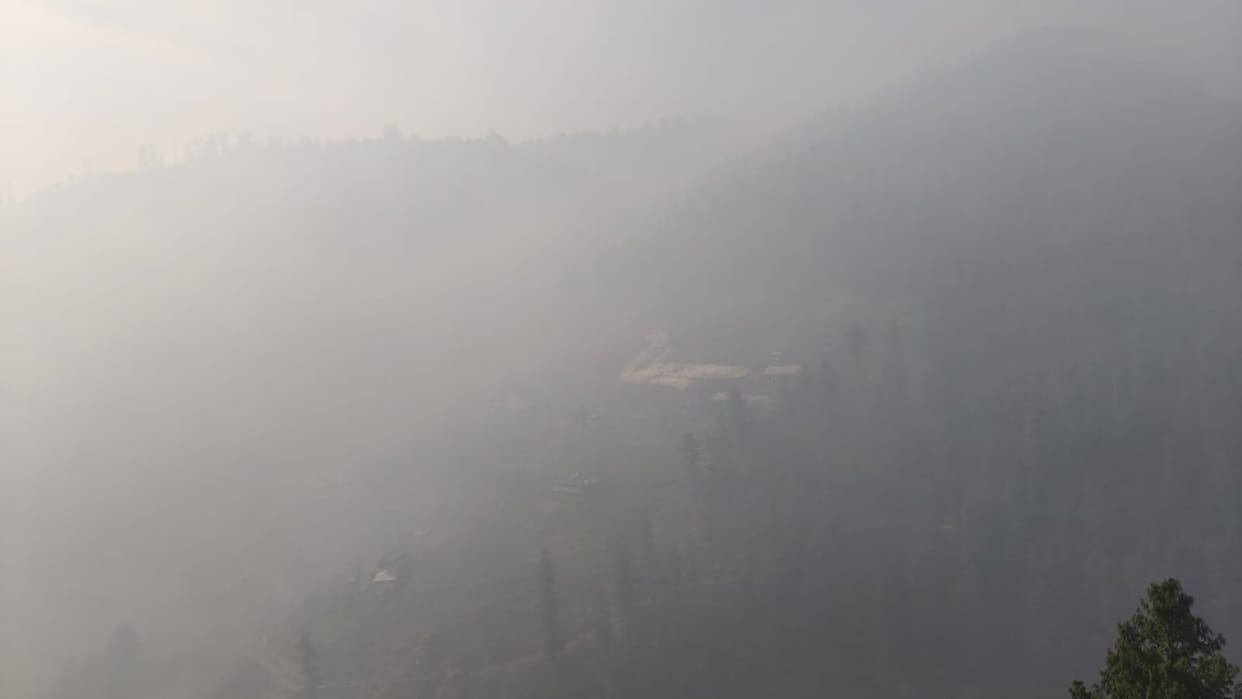 The forests of Jhalatu-Bashla have been burning for two days