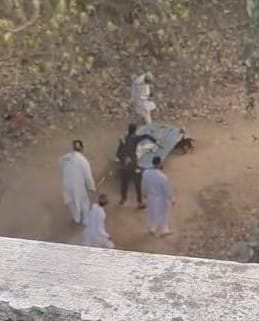 A puppy that entered the cemetery was beaten to death.