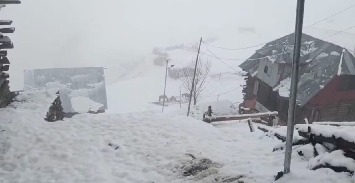 Srinagar, Gurez, Snowfall, Rain in Plain Areas