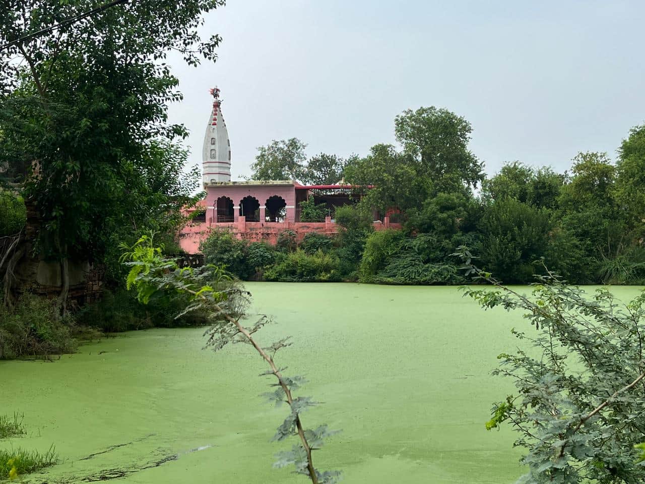गांव ढाणी फोगाट स्थित तालाब।