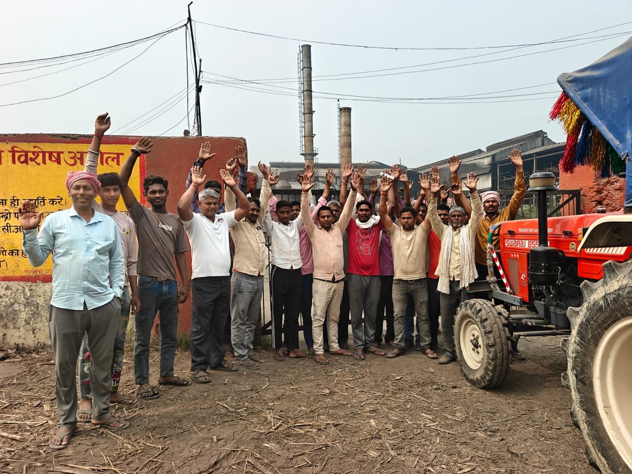 Sugarcane weighing resumes after farmers' protest