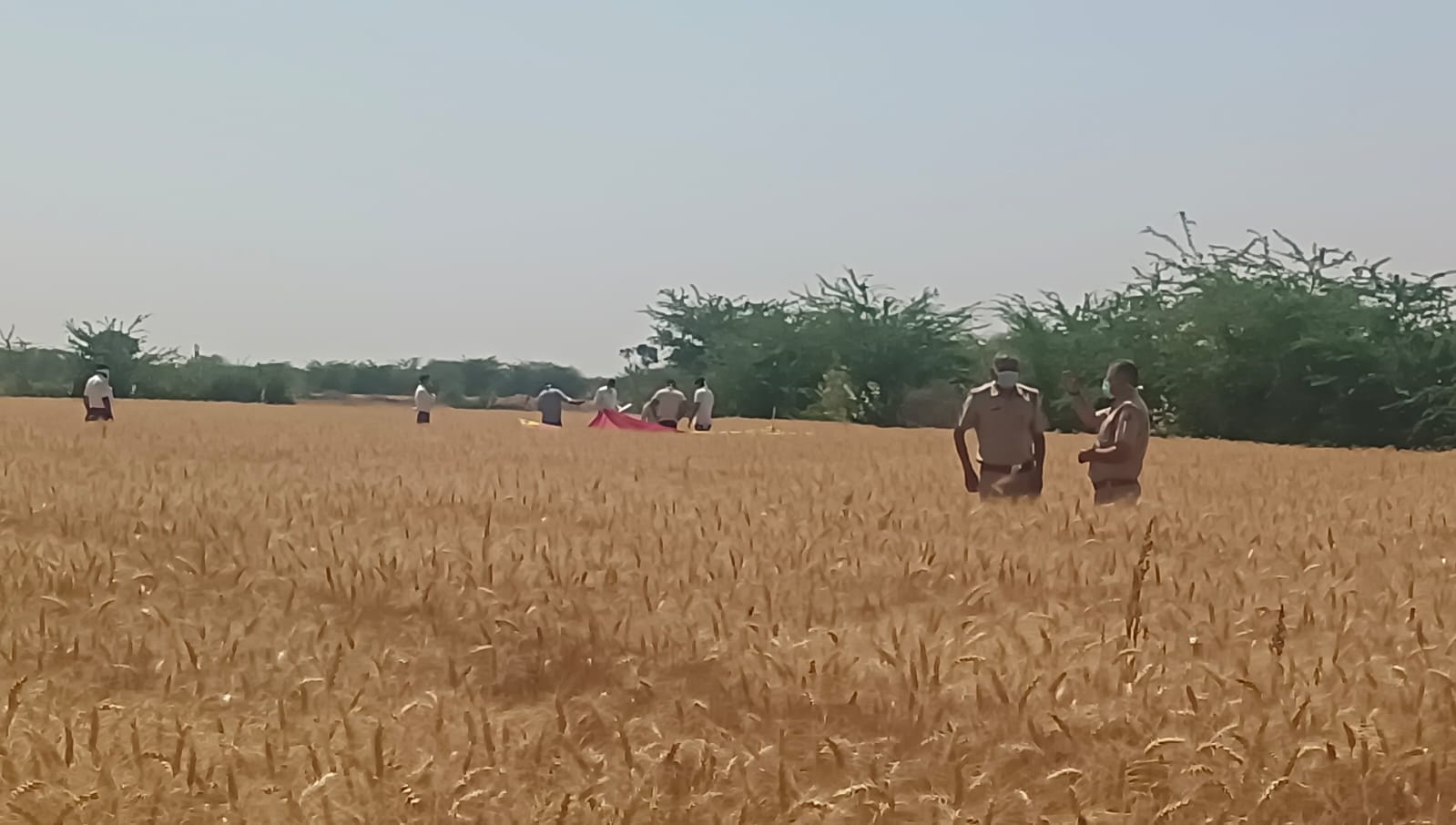 गेहूं के खेत में मिली किसान की सड़ी-गली लाश