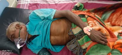 Elderly man injured in wild elephant attack in Raigarh