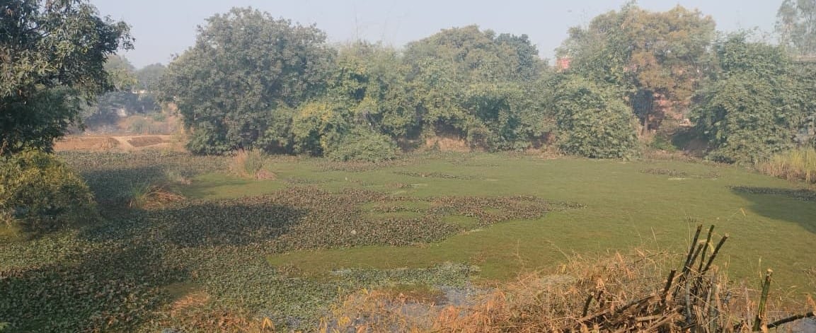 The appearance of 90 ponds in six blocks will change, beautification will be done with the village fund