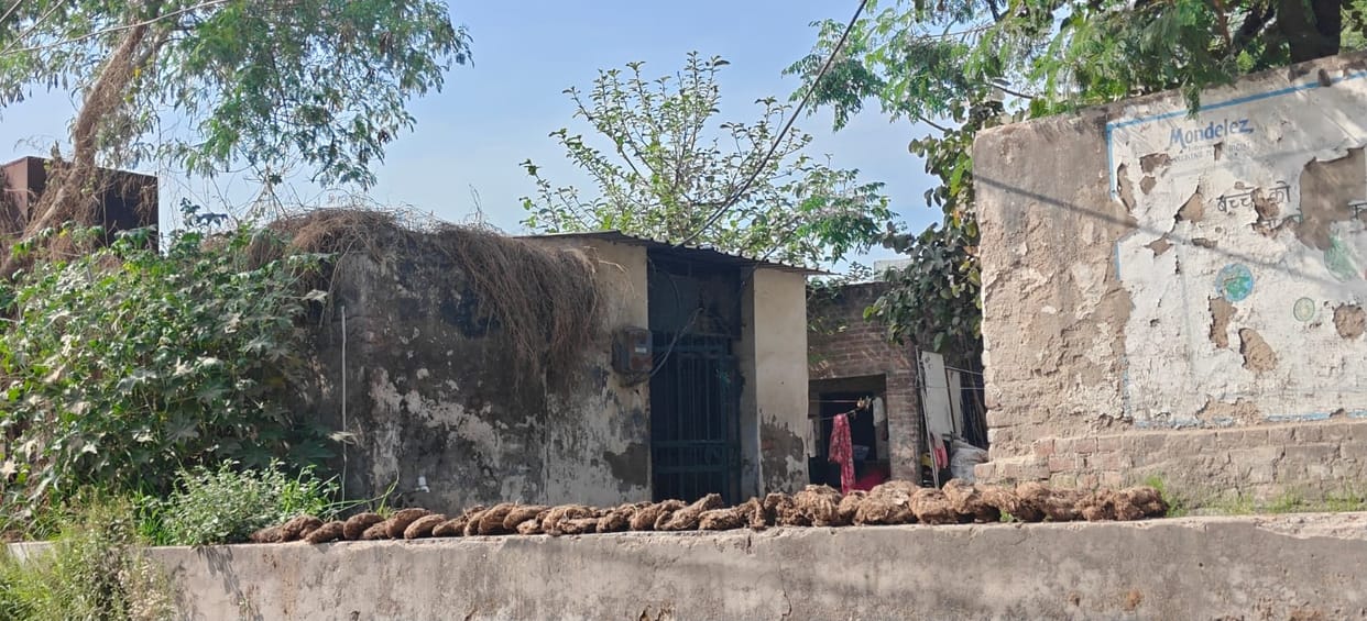 Unmaintained toilet in Ward 1 of Baddi has become a ruin