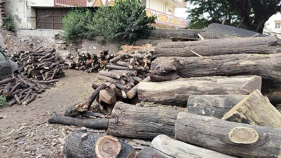 कमर्शियल गैस की किल्लत से बढ़ी लकड़ी और कोयले की मांग