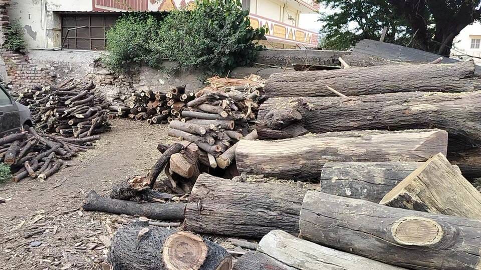 कमर्शियल गैस की किल्लत से बढ़ी लकड़ी और कोयले की मांग