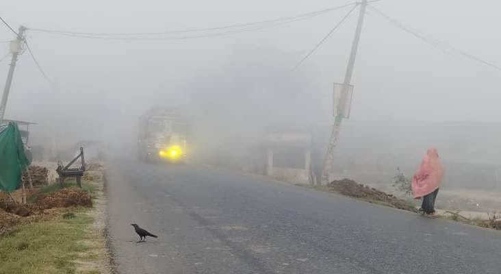 December-like fog in March affects traffic