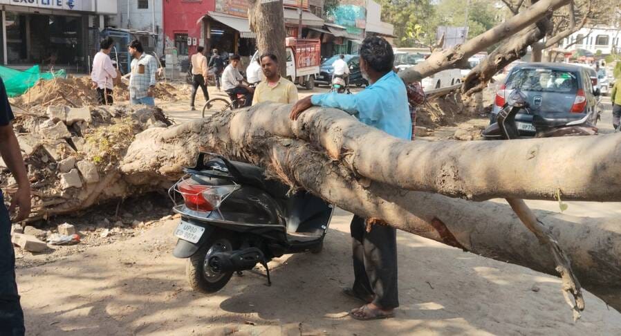 A tree fell on Raja Ki Mandi Station Road, burying a car and a scooter.