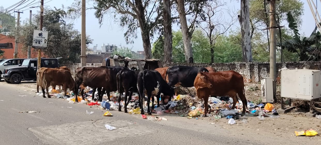 Sanitation workers' strike continues, talks fail