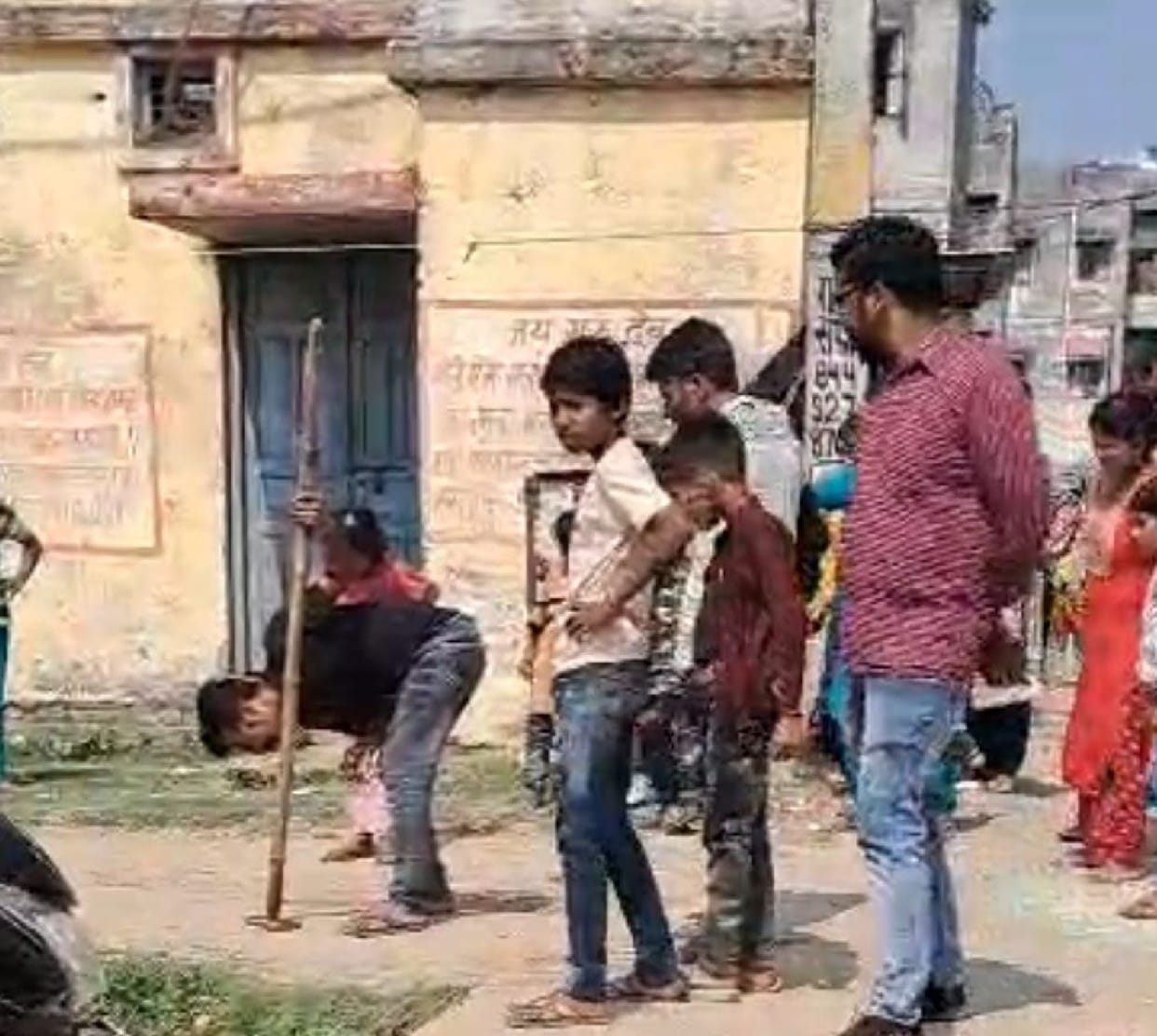 Snake beaten to death with a stick, report filed