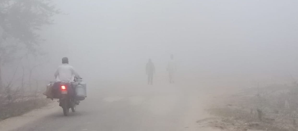 The morning was foggy, followed by bright sunshine.