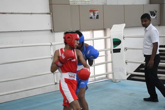 Haider, Karan, Aviral and Aarav pack a golden punch