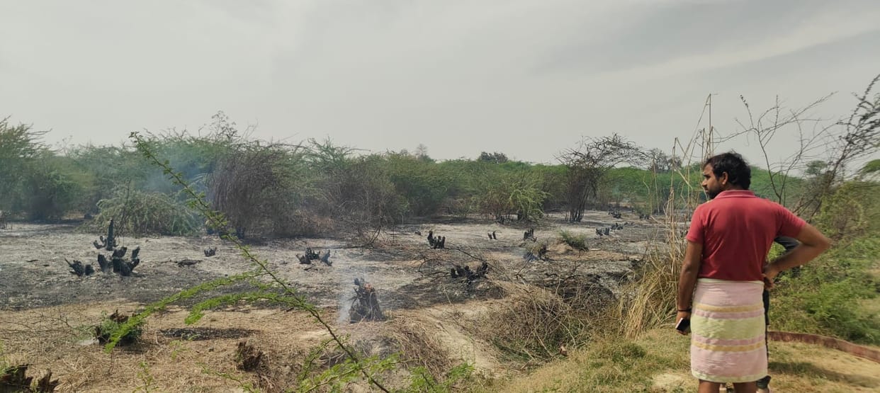 firozabad news eka jungle fire