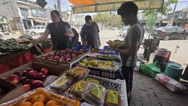 Kiwi prices rise, a box becomes costlier by Rs 400