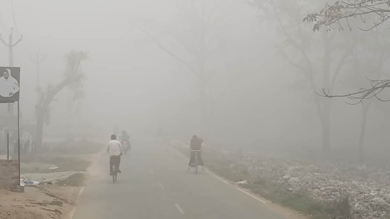 A blanket of fog in the Terai, a December-like morning in March