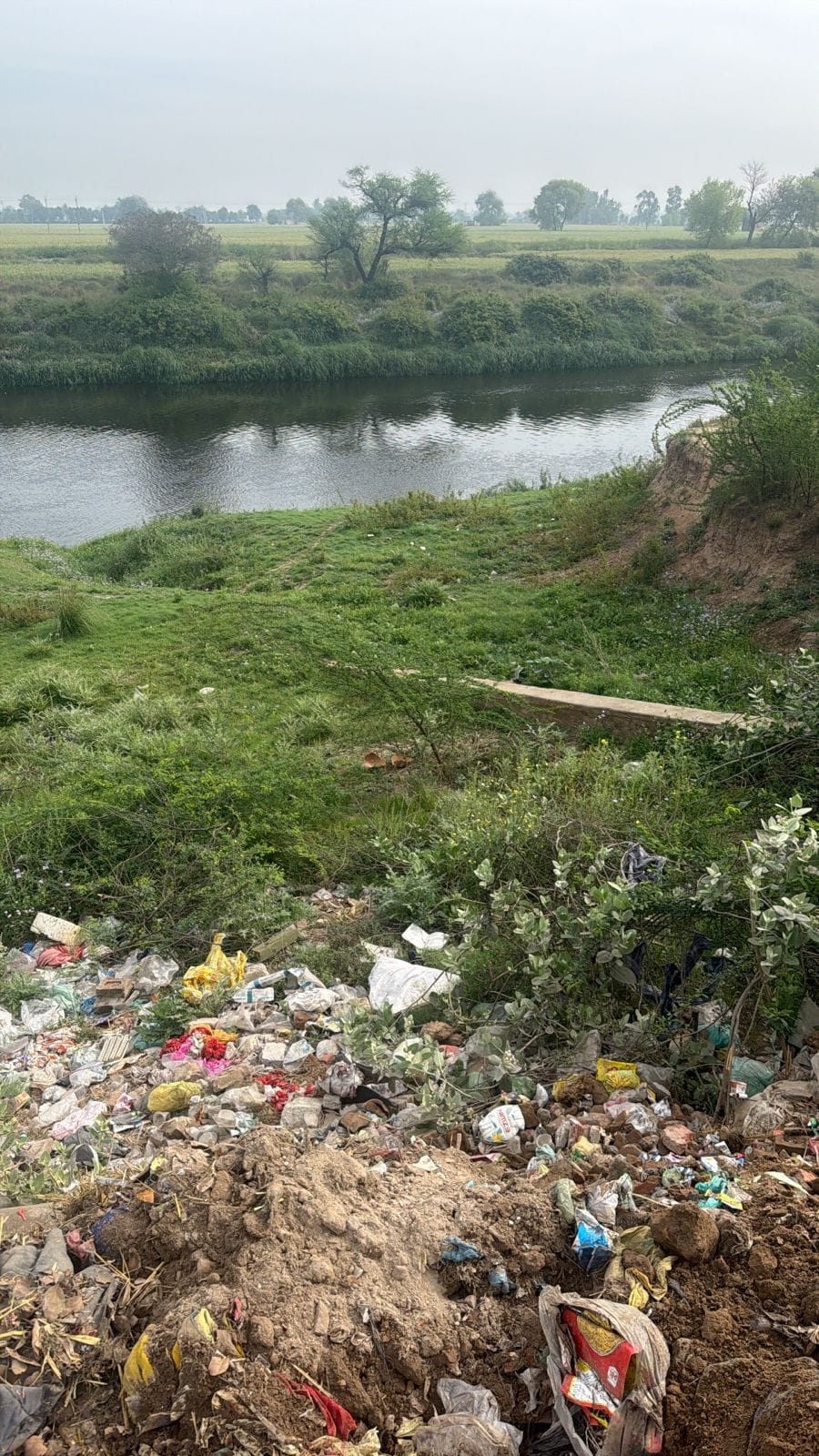 Despite NGT orders, garbage is being dumped on the banks of Ghaggar; residents have complained to the DC