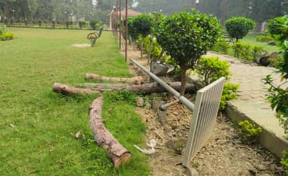 DDA initiative will transform parks into event venues